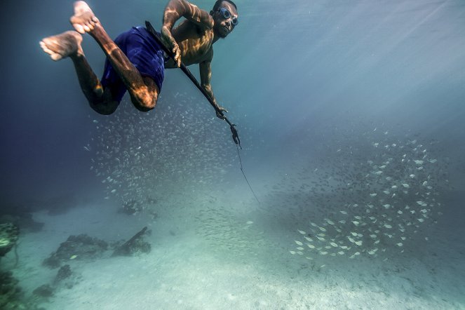Egy élet a víz alatt - Filmfotók