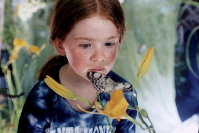 Der Schmetterling - Filmfotos - Claire Bouanich