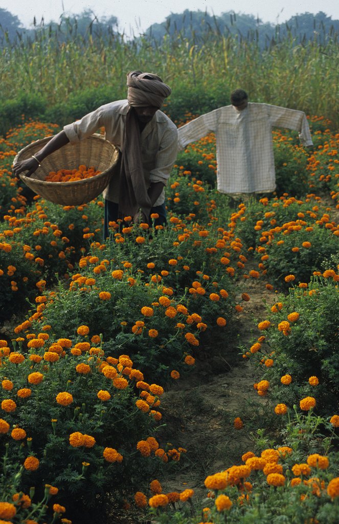 Ganges - Indiens Fluss des Lebens - Filmfotos