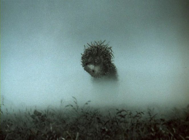 Ježko v hmle - Z filmu