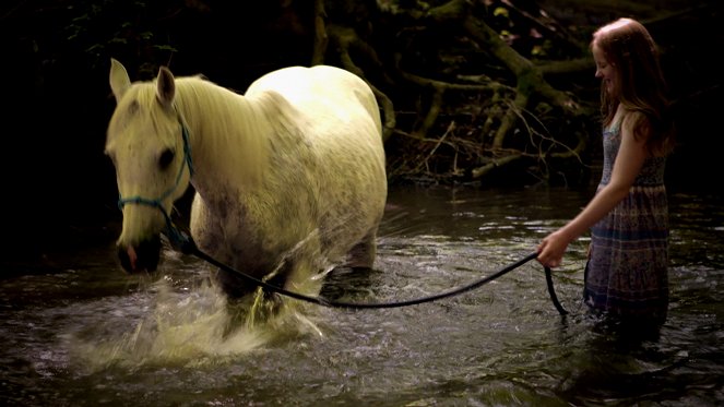 HipHorses - Du und dein Pferd - Filmfotók