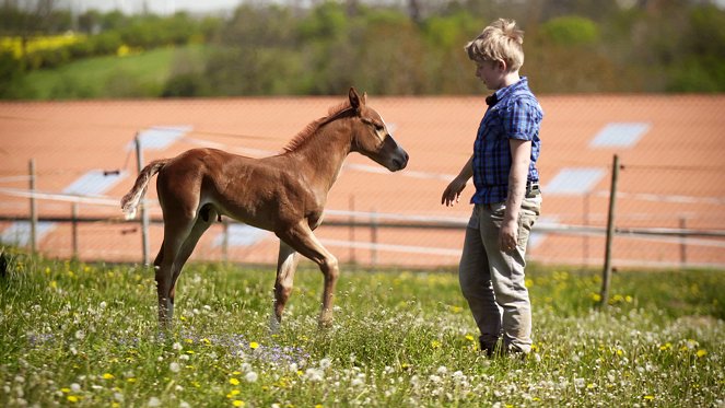 HipHorses - Du und dein Pferd - Photos