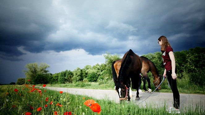 HipHorses - Du und dein Pferd - Photos