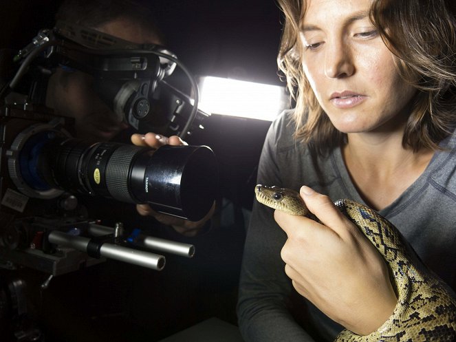Animal Super Senses - Die Wahrnehmung von Tieren - Filmfotos - Helen Czerski