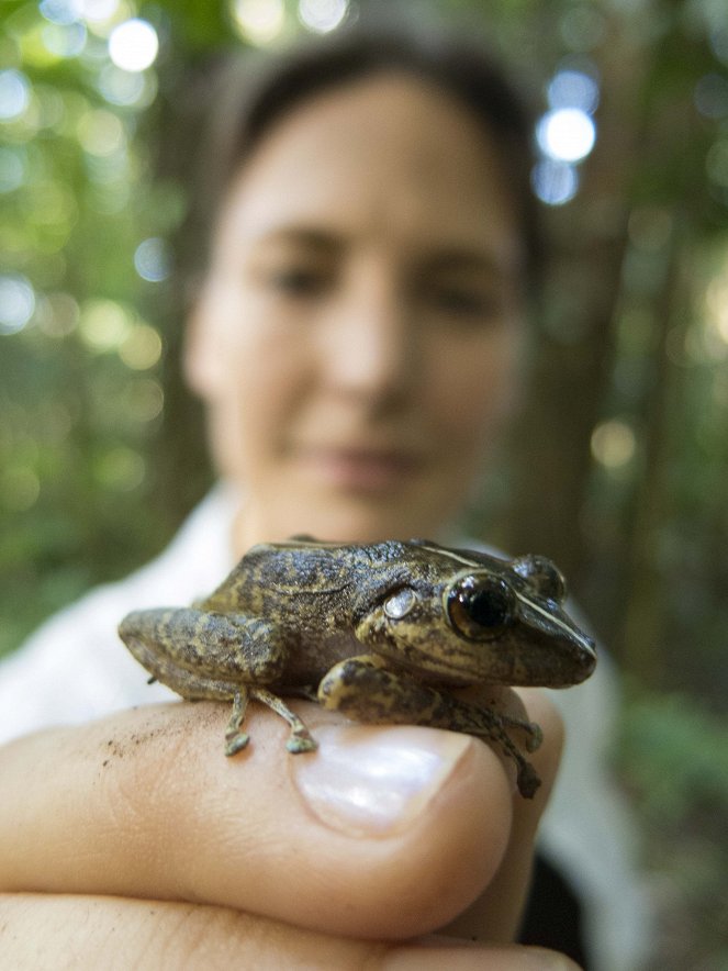 Super Senses: The Secret Power of Animals - Photos - Helen Czerski