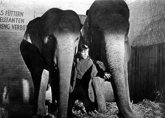 Poplach v cirkuse - Z filmu - Ernst-Georg Schwill