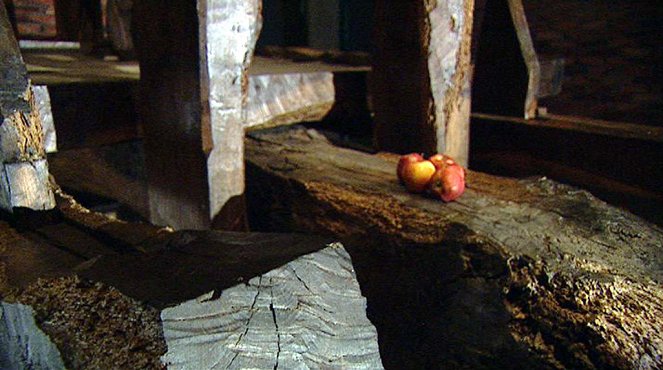 Der Biss der Erkenntnis - Geschichten vom Apfel - Van film