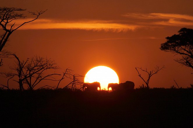 Juwel der Elefantenküste - Afrikas Wunderland Isimangaliso - Filmfotos