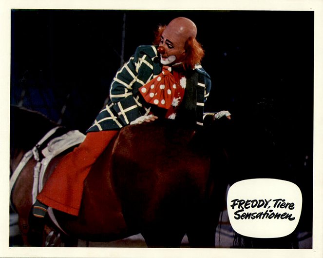 Freddy, Tiere, Sensationen - Lobbykarten