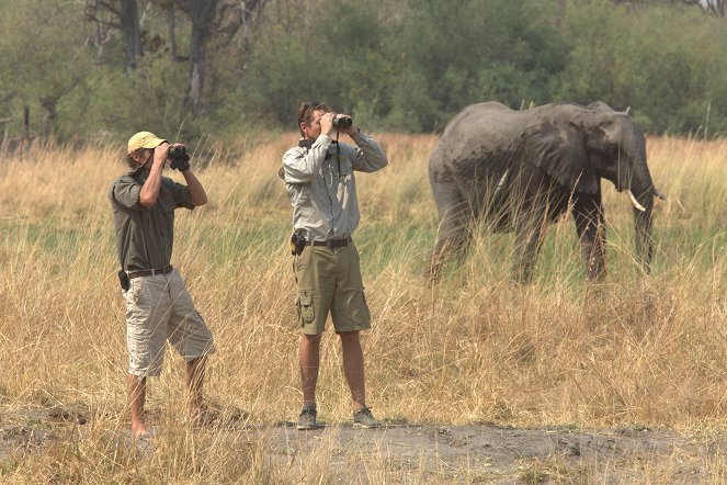Safari Brothers - Filmfotók