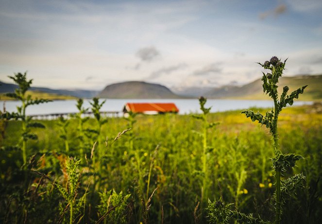 The Wonderlist with Bill Weir - Van film