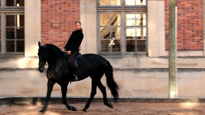Die Pferdeakademie von Versailles - Filmfotos