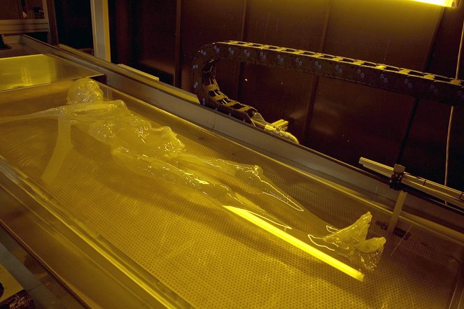Ötzi, la renaissance de l'homme des glaces - Film