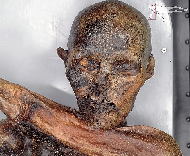 Ötzi, la renaissance de l'homme des glaces - Film
