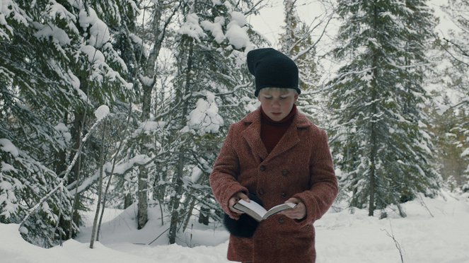 Familien Jul - I nissernes land - De la película