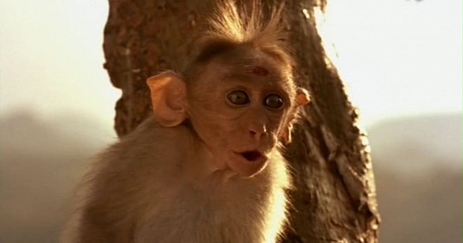 Hanuman - Im Königreich der Affen - Filmfotos