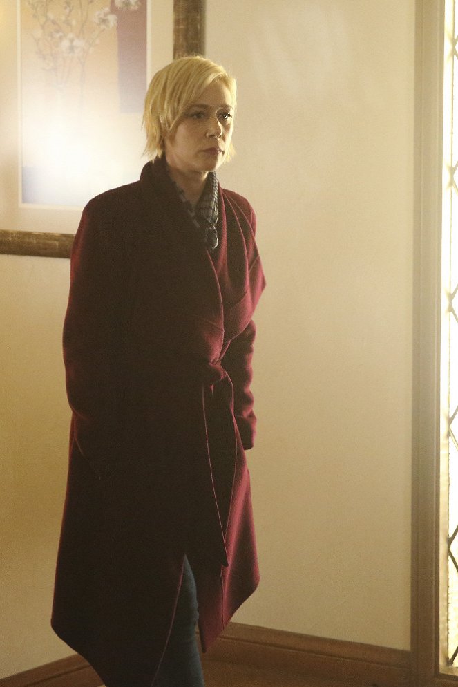 How to Get Away with Murder - Season 3 - It's About Frank - Photos - Liza Weil