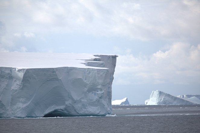 Antarktida: 7. kontinent - Z filmu
