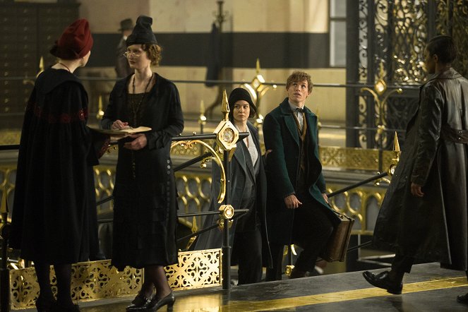 Fantastic Beasts and Where to Find Them - Photos - Katherine Waterston, Eddie Redmayne