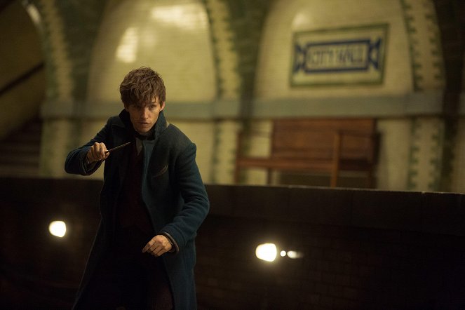 Fantastic Beasts and Where to Find Them - Photos - Eddie Redmayne