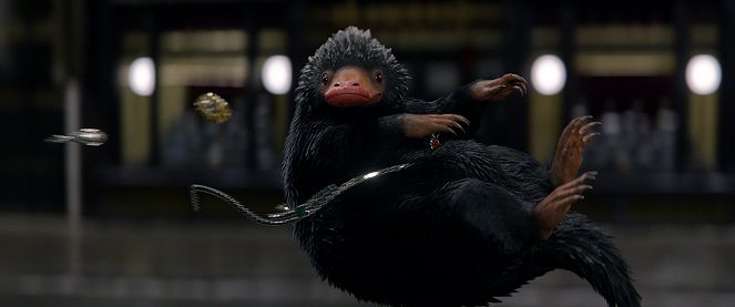 Fantastic Beasts and Where to Find Them - Photos