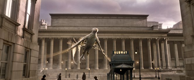Fantastic Beasts and Where to Find Them - Photos