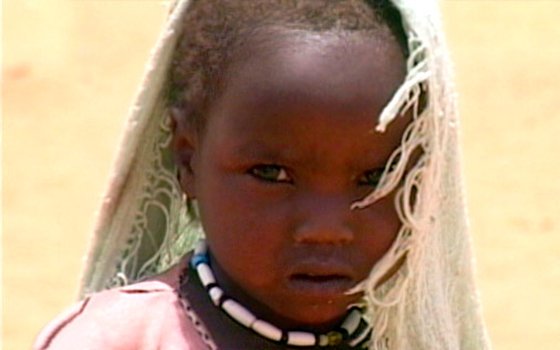 Darfour : Du sable et des larmes - Film