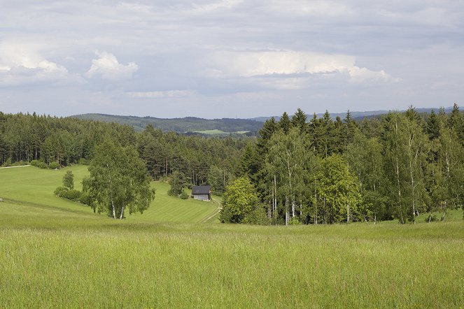 Auf schmalen Spuren - Eine Entdeckungsreise entlang der Waldviertel Bahn - Film