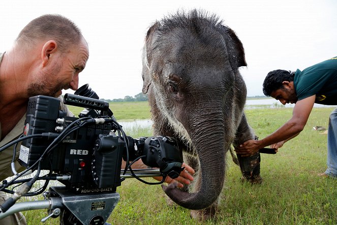 The Natural World - Sri Lanka: Elephant Island - De la película