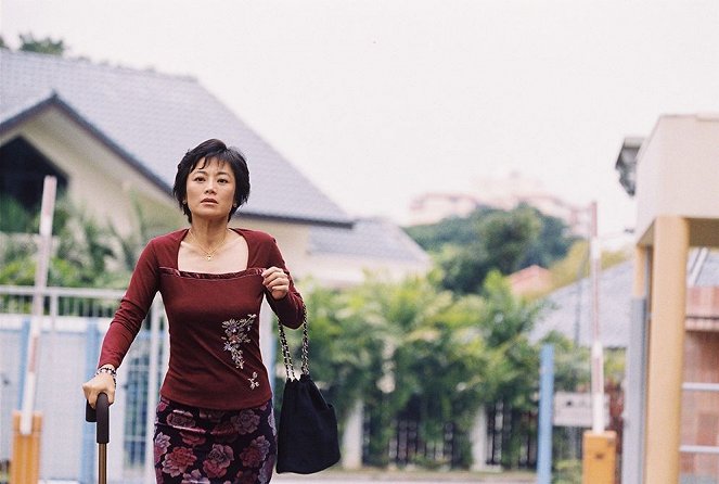 Hainan ji fan - Film - Sylvia Chang