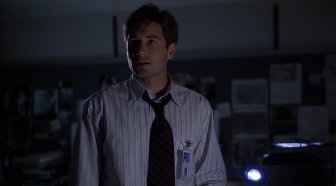 Z Archiwum X - Mulder i Scully - Z filmu - David Duchovny