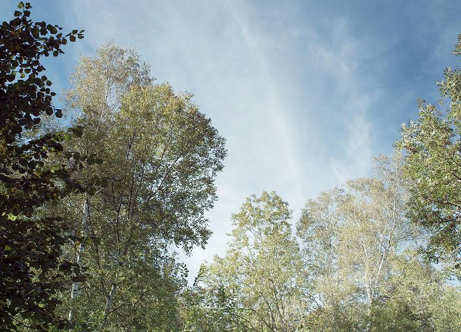 Das Geheimnis unseres Waldes - Kuvat elokuvasta