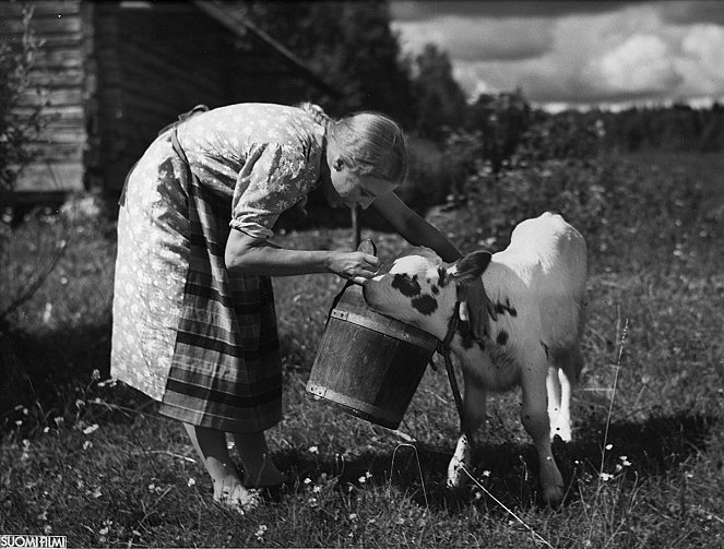 Anu ja Mikko - Filmfotók - Henny Valjus