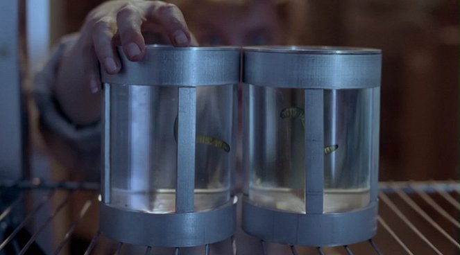 The X-Files - Salaiset kansiot - Season 1 - Ice - Kuvat elokuvasta