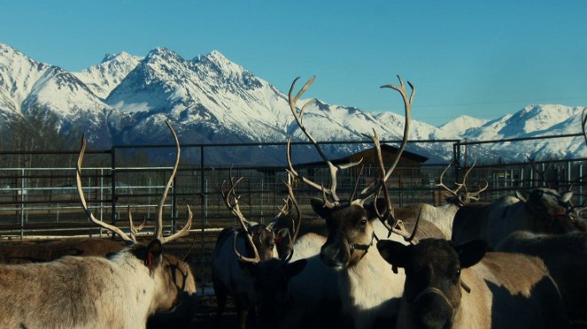 World's Wildest City: Anchorage - Van film