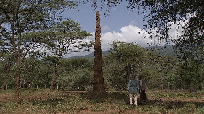 Universum: Die geheime Welt der Termiten - Van film