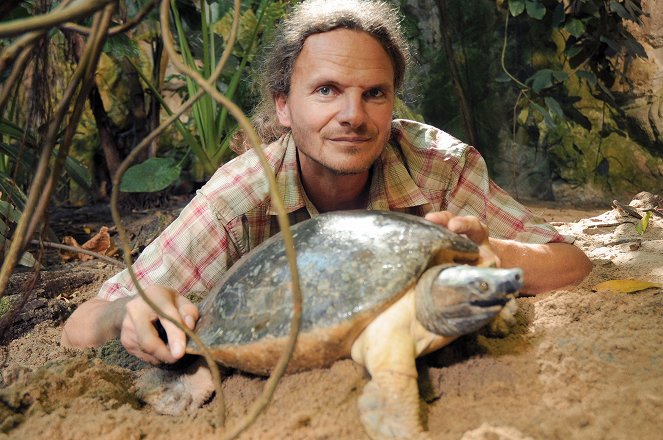 Universum: Turtle Hero - Ein Leben für die Schildkröten - Filmfotos