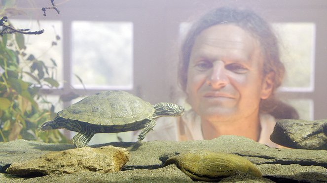 Universum: Turtle Hero - Ein Leben für die Schildkröten - Kuvat elokuvasta