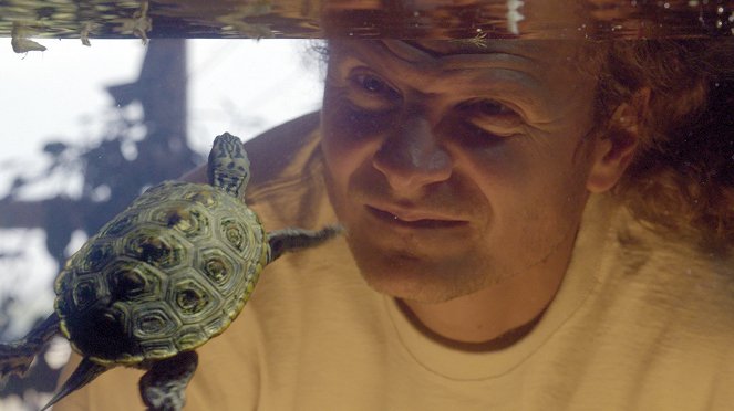 Universum: Turtle Hero - Ein Leben für die Schildkröten - Z filmu