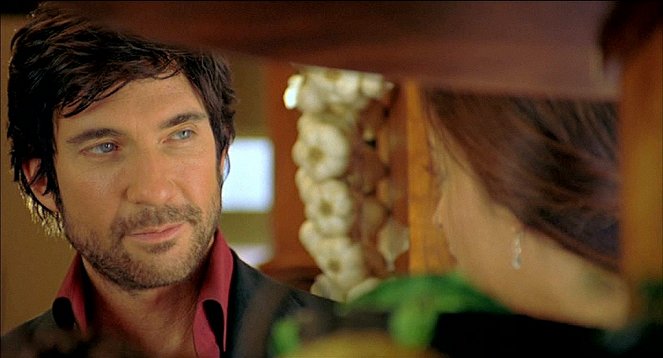 The Mistress of Spices - Kuvat elokuvasta - Dylan McDermott