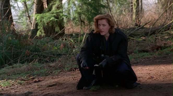 The X-Files - Entité biologique extraterrestre - Film - Gillian Anderson