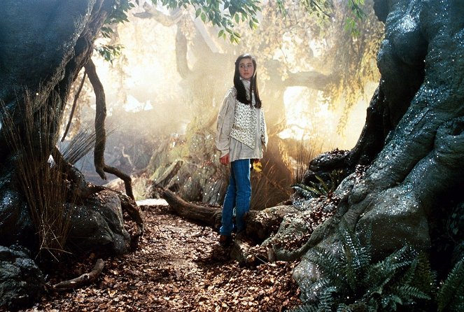 A fantasztikus labirintus - Filmfotók - Jennifer Connelly