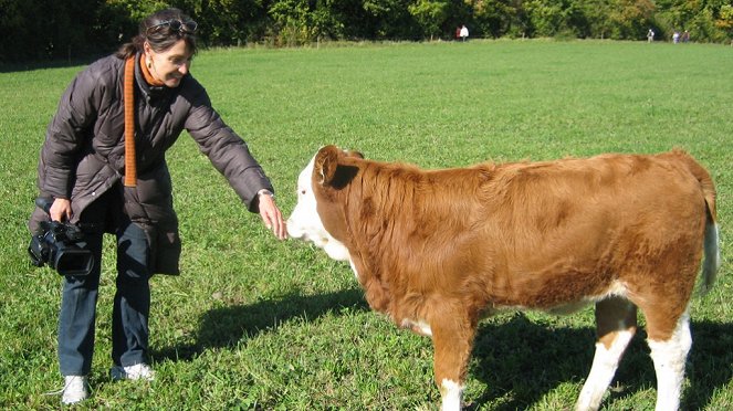 Im Namen der Tiere - Dreharbeiten - Sabine Kückelmann