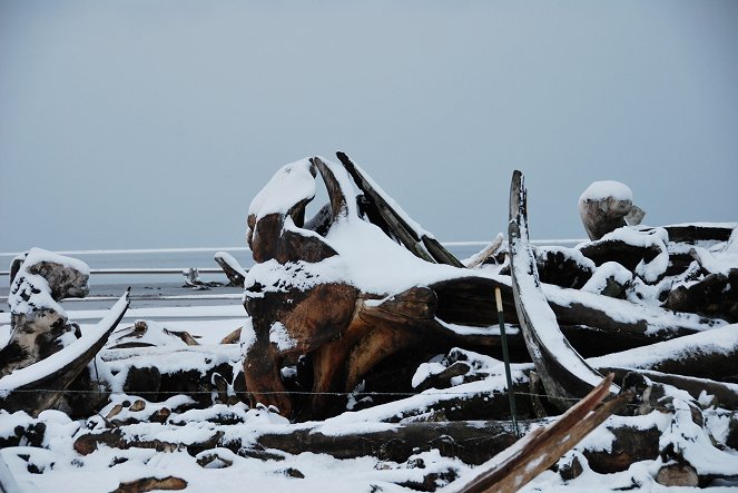 Terra X: Abenteuer Polarkreis - Filmfotók