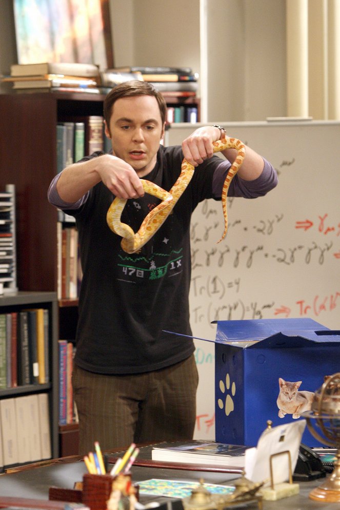 The Big Bang Theory - Season 5 - The Good Guy Fluctuation - Do filme - Jim Parsons