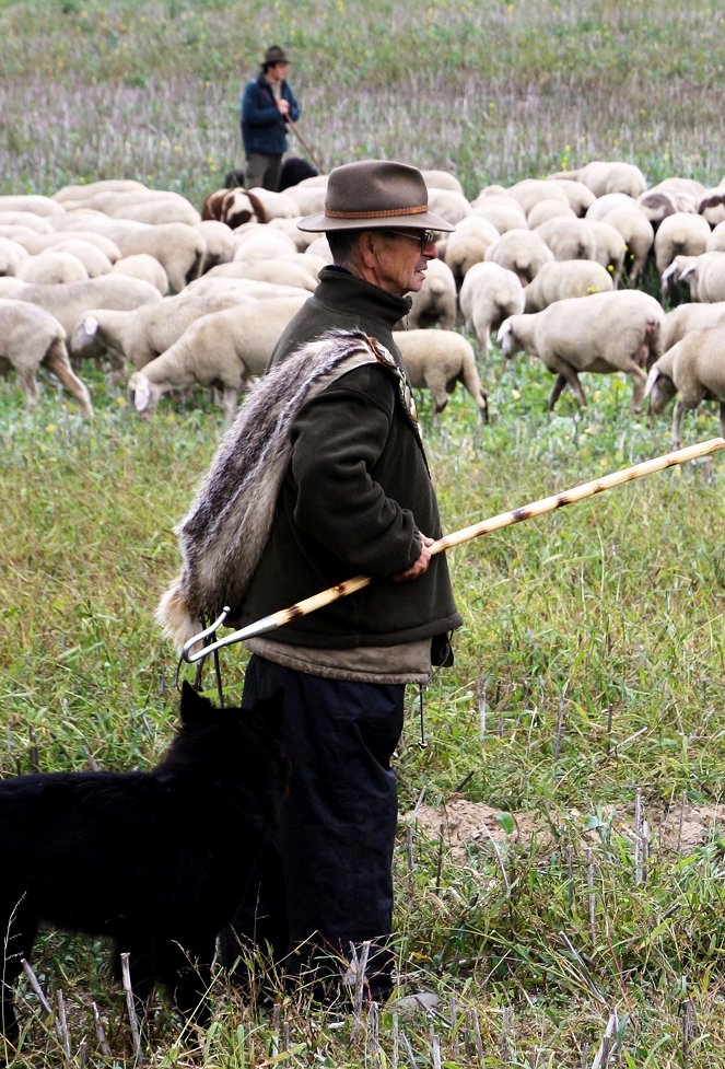 Der Herr der Schafe - Photos