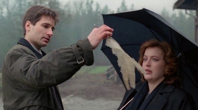 The X-Files - Salaiset kansiot - Season 1 - Shapes - Kuvat elokuvasta - David Duchovny, Gillian Anderson