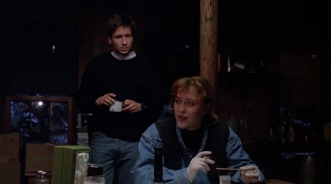 The X-Files - Quand vient la nuit - Film - David Duchovny, Gillian Anderson