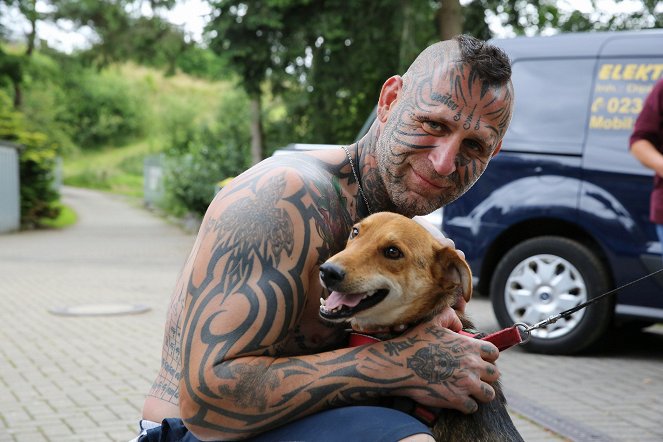 Harte Hunde - Ralf Seeger greift ein - Filmfotos
