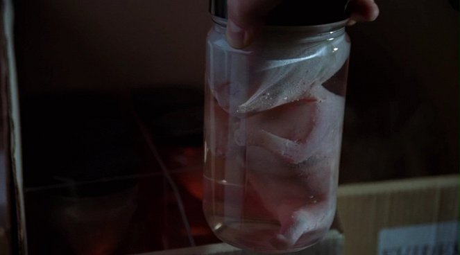 The X-Files - The Erlenmeyer Flask - Van film